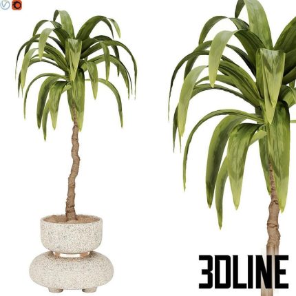 indoor plant 38(3dline.net)