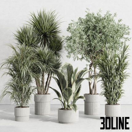 indoor plant set 414 plant ficus (3dline.net)