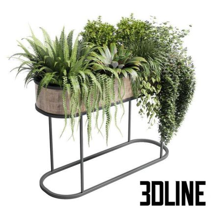 Сollection Indoor plant 116 0(3dline.net)