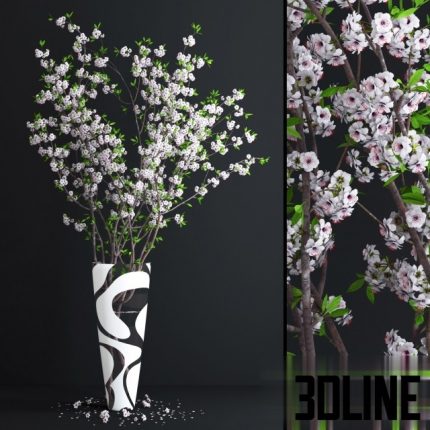 Cherry White Blossom(3dline.net)