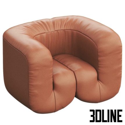 DS-707 Leather armchair By de Sede(3dline.net)