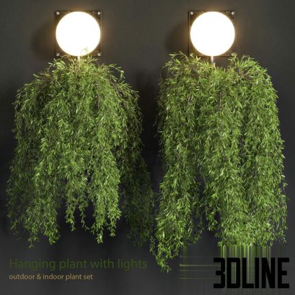 Hanging Plant with Lights(3dline.net)