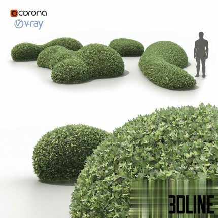 Topiary bushes(3dline.net)