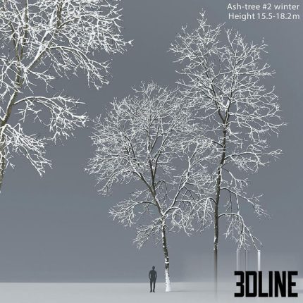 Winter Ash(3dline.net)