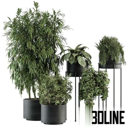 indoor Plant Set 355 Tree and Plant Set in Black pot(3dline.net)