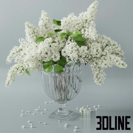 lilac 2(3dline.net)