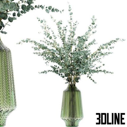 Eucalyptus branches in a green vase(3dline.net)