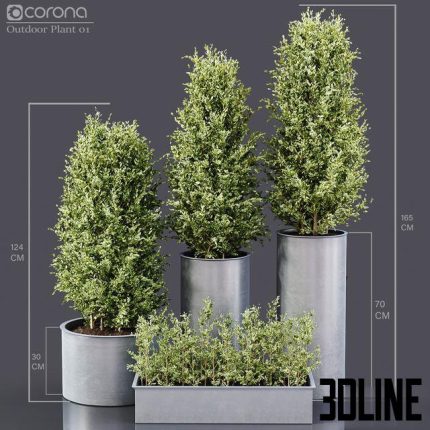 Outdoor Plant 01 1(3dline.net)