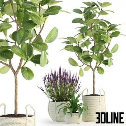 Plants collection 87(3dline.net)