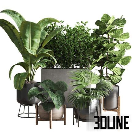 collection Indoor plant 43 vase(3dline.net)