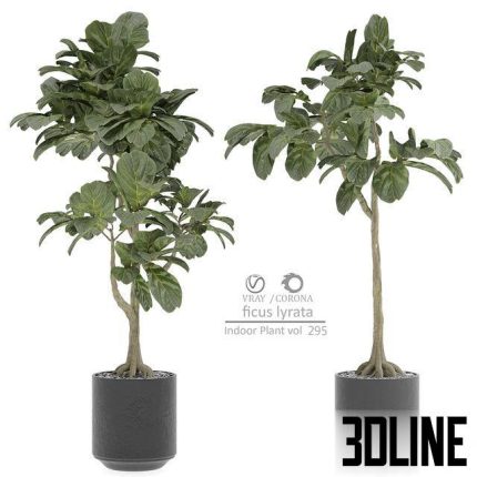 indoor Plant 295 0(3dline.net)