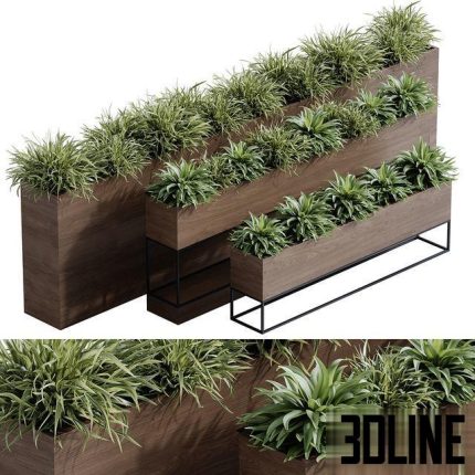 indoor plant set 65 0(3dline.net)