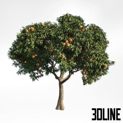peach tree 8 0(3dline.net)