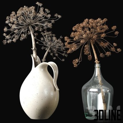 Old heracleum 2 0(3dline.net)