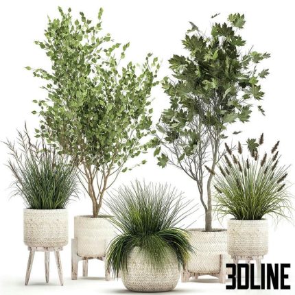 Collection of plants in white baskets with Trees, vine bushes, Sycamore, Maple. Set 1047.(3dline.net)