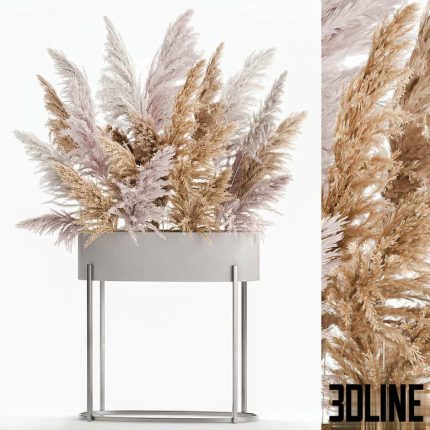 A lush bouquet of dried flowers with pink pampas grass, a vase of Cortaderia, branches. 190. 0(3dline.net)