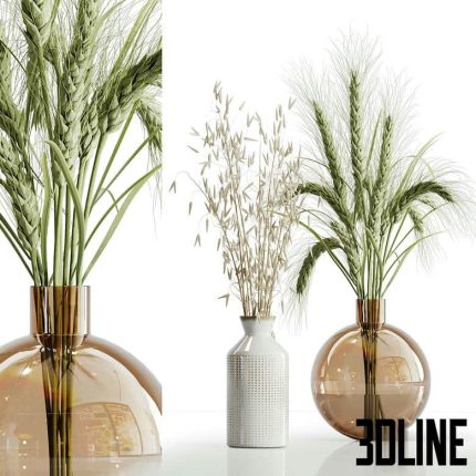 Dry plant set 02 0(3dline.net)