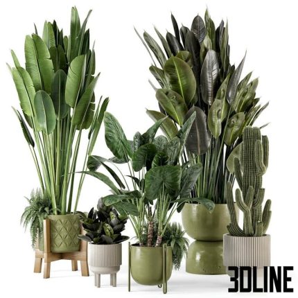 Indoor Plants in Standing Legs Small Bowl Concrete Pot - Set 563(3dline.net) (Copy)