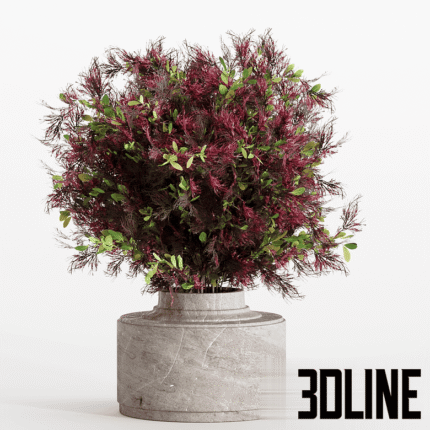 Bouquet 7(3dline.net)