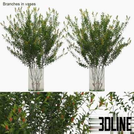 Branches in vases Dragon Lady (3dline.net)