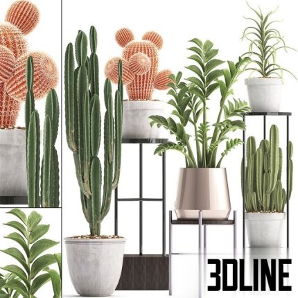 Plant collection 303 0(3dline.net)