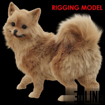 Spitz(3dline.net)