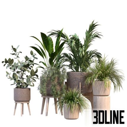 plant in vase collection set 214(3dline.net)