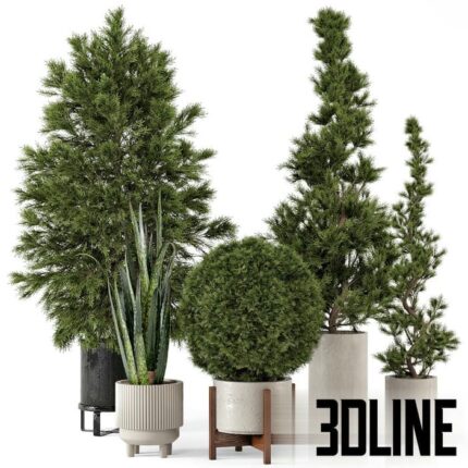 Indoor Plants in Ferm Living Bau Pot Large Set 364(3dline.net)