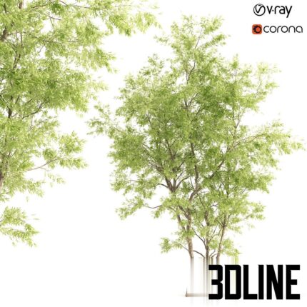 Jam tree(3dline.net)