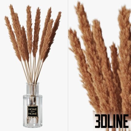 Pampas grass 05(3dline.net)