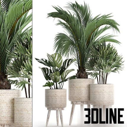 A collection of plants in white modern baskets  Set 427(3dline.net)