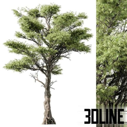 Big Maple Tree Set 148(3dline.net)