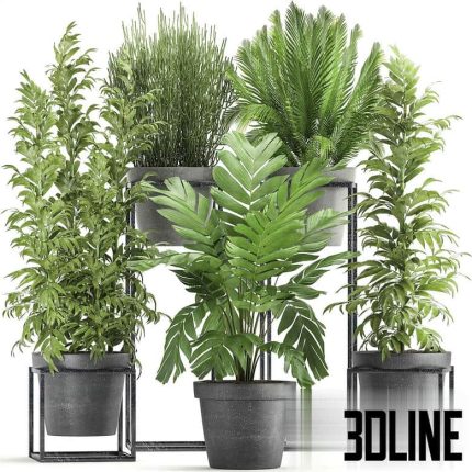 Plant collection 317(3dline.net)