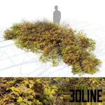 High-resolution 3D model of an autumn outdoor bush and shrubs for exterior rendering