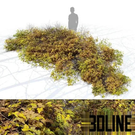 High-resolution 3D model of an autumn outdoor bush and shrubs for exterior rendering