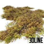 High-resolution 3D model of an autumn outdoor bush and shrubs for exterior rendering