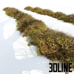 High-resolution 3D model of an autumn outdoor bush and shrubs for exterior rendering