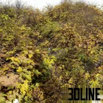 High-resolution 3D model of an autumn outdoor bush and shrubs for exterior rendering