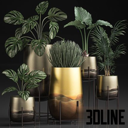 Collection of plants in luxury gold pots on legs Set 544(3dline.net)