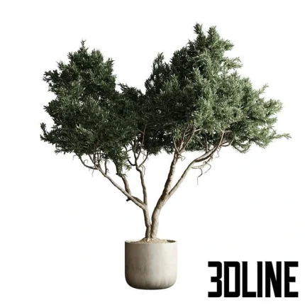 High-detail 3D model of a large indoor tree in a modern concrete pot for lobby and contemporary interior visualization