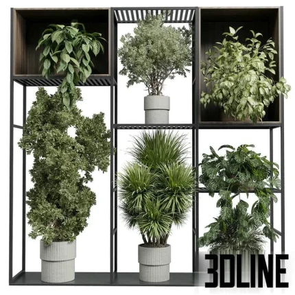 High-detail 3D model of a standing metal shelf with wooden boxes and large set of potted indoor plants