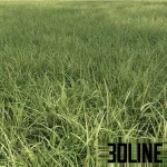 High-resolution 3D material of dense field grass and meadow foliage texture with natural green coloring for exterior visualization