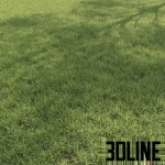 High-resolution 3D material of dense field grass and meadow foliage texture with natural green coloring for exterior visualization