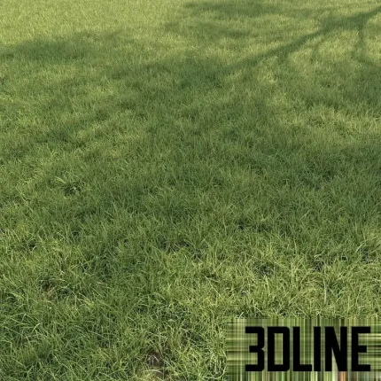 High-resolution 3D material of dense field grass and meadow foliage texture with natural green coloring for exterior visualization