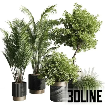 High-resolution 3D model set of indoor palm trees and large foliage plants in modern ribbed and marble planters