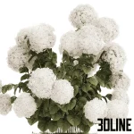 High-resolution 3D model of a large, lush bouquet of white hydrangea flowers in a decorative ribbed glass/metal vase