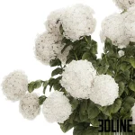 High-resolution 3D model of a large, lush bouquet of white hydrangea flowers in a decorative ribbed glass/metal vase