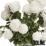 High-resolution 3D model of a large, lush bouquet of white hydrangea flowers in a decorative ribbed glass/metal vase