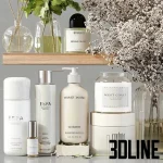 High-resolution 3D model set of luxury spa bathroom accessories including lotion bottles, cosmetic jars, towels, and dried decorative flowers