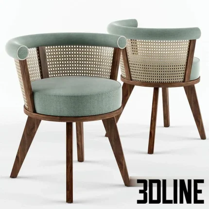 High-quality 3D model of Niamh modern dining chair with cane woven back, rounded upholstered seat, and dark wooden frame